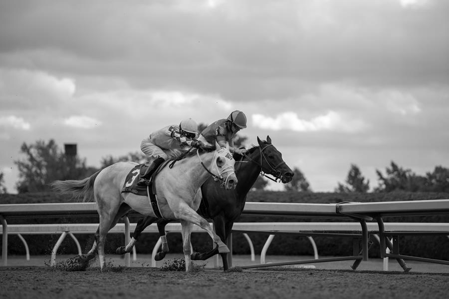 Horseracing Integrity and Safety Authority